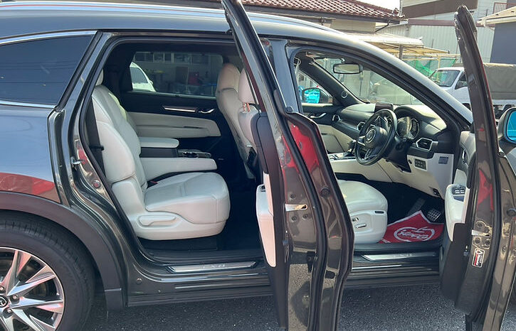 
								MAZDA CX-8 XD Lpackage full									