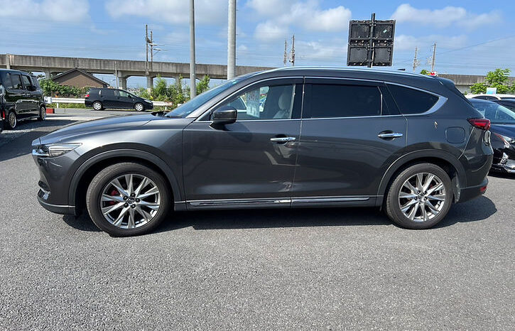 
								MAZDA CX-8 XD Lpackage full									