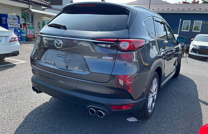 
								MAZDA CX-8 XD Lpackage full									