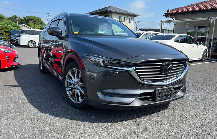 
								MAZDA CX-8 XD Lpackage full									