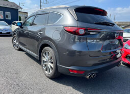 
										MAZDA CX-8 XD Lpackage full									