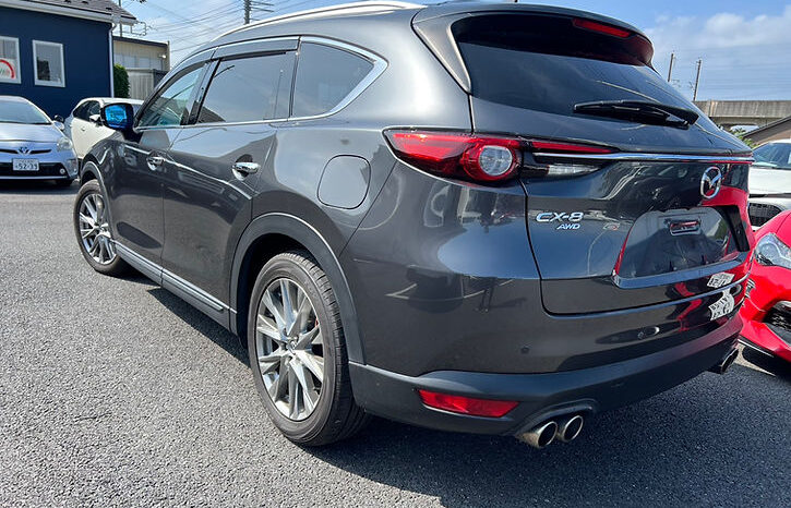 
								MAZDA CX-8 XD Lpackage full									