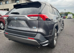 
										TOYOTA RAV4 G HYBRID full									
