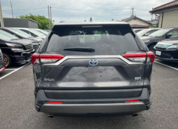 
										TOYOTA RAV4 G HYBRID full									