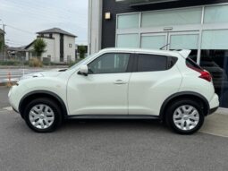 
										2010 Nissan Juke 15RX 2WD full									